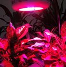 Hidroponia 90W-GU &amp; horticultura &amp; com efeito de estufa levaram cresça luzes para plantas de interior