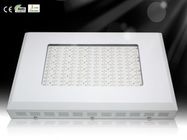 DIY LED crescer planta luz RCG144 * 3W para hidroponia com efeito de estufa HPS de 3-5times