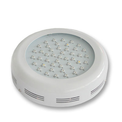 A planta do diodo emissor de luz do poder superior cresce 3watt claro 85 favoráveis ao meio ambiente - 265v CRI > 80