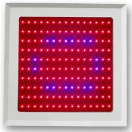 a planta do diodo emissor de luz 150w cresce o espectro azul vermelho claro para a vertente do vegetal e garde botânico