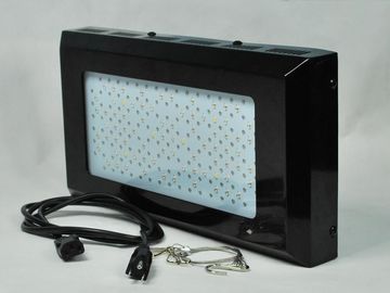 A planta vermelha e azul da alta intensidade do diodo emissor de luz cresce Ligh 3watt para a iluminação interna do jardim vegetal
