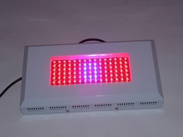 O diodo emissor de luz hidropónico do poder superior cresce C.A. 85 de Lightst 1watt ~ 264V, estufa crescem luzes