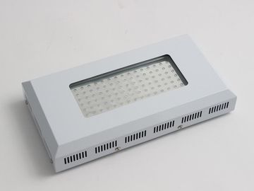 A planta alta do diodo emissor de luz do efeito da luz cresce luzes claras de 90w, azuis e vermelhas do diodo emissor de luz para crescer