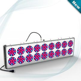 O diodo emissor de luz da hidroponia do vermelho azul cresce 630nm/460nm claros 612W~644W D C 32 ~ 45V, planta do diodo emissor de luz crescem a lâmpada