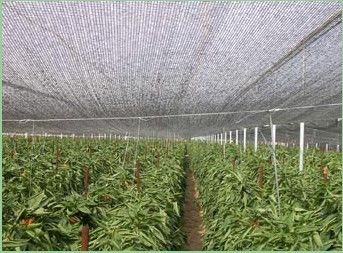 Rede da máscara da estufa da agricultura, 2 x 100m, 30gsm - 300gsm
