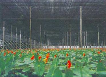 Rede da máscara da estufa da agricultura, 2 x 100m, 30gsm - 300gsm