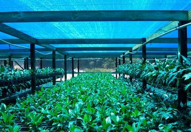 Rede da máscara da estufa, pano agrícola da máscara para a exploração agrícola da flor