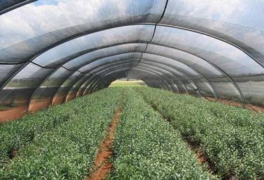 Rede UV da máscara do telhado da estufa do Hdpe anti, rede da máscara do polietileno