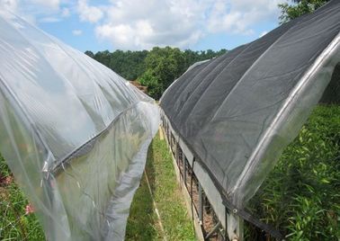 Rede plástica preta da máscara da estufa para a agricultura, 4 x 100m