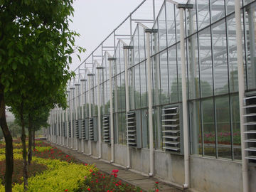 as estufas comerciais de vidro do período de 12000mm, 4000mm seccionam a estufa de Venlo