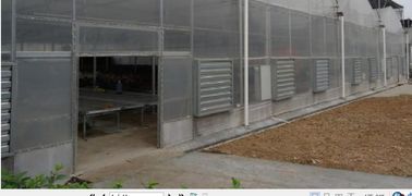A UE da estufa do filme modela
