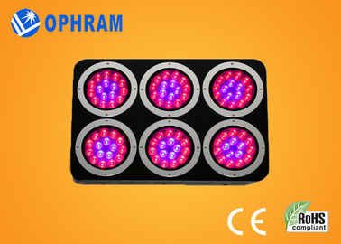O diodo emissor de luz do espectro do poder superior IP20 cresce luzes para a plântula/frondosos completos