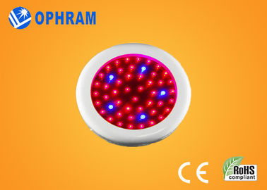 O diodo emissor de luz completo do espectro de Epistar IP20 50W cresce luzes para as flores AC85-265V