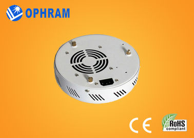 O diodo emissor de luz completo do espectro de Epistar IP20 50W cresce luzes para as flores AC85-265V
