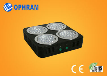 o diodo emissor de luz completo do espectro do RH de 120W IP20 AC85-265V Epistar 10%-90% cresce luzes
