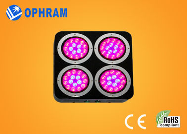 o diodo emissor de luz completo do espectro do RH de 120W IP20 AC85-265V Epistar 10%-90% cresce luzes
