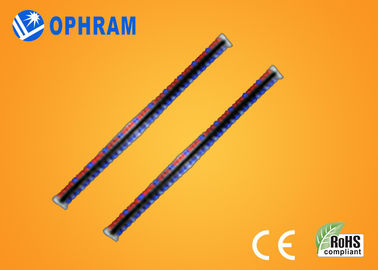 O brilho alto Epistar diodo emissor de luz vermelho e azul de IP65 cresce luzes com CE/ROHS