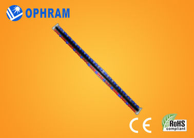 O brilho alto Epistar diodo emissor de luz vermelho e azul de IP65 cresce luzes com CE/ROHS