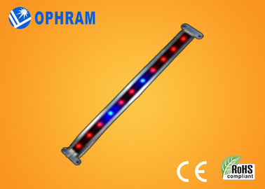 10W SMD diodo emissor de luz vegetal/florescendo de 2835 crescem luzes com ângulo de feixe 180°