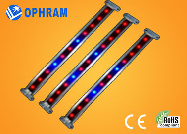 10W SMD diodo emissor de luz vegetal/florescendo de 2835 crescem luzes com ângulo de feixe 180°