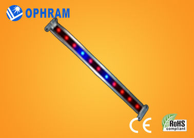 10W SMD diodo emissor de luz vegetal/florescendo de 2835 crescem luzes com ângulo de feixe 180°