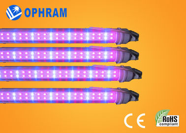 o diodo emissor de luz completo do espectro 230V/240V de 50Hz/60Hz cresce luzes para o vegetal