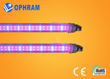 o diodo emissor de luz completo do espectro 230V/240V de 50Hz/60Hz cresce luzes para o vegetal