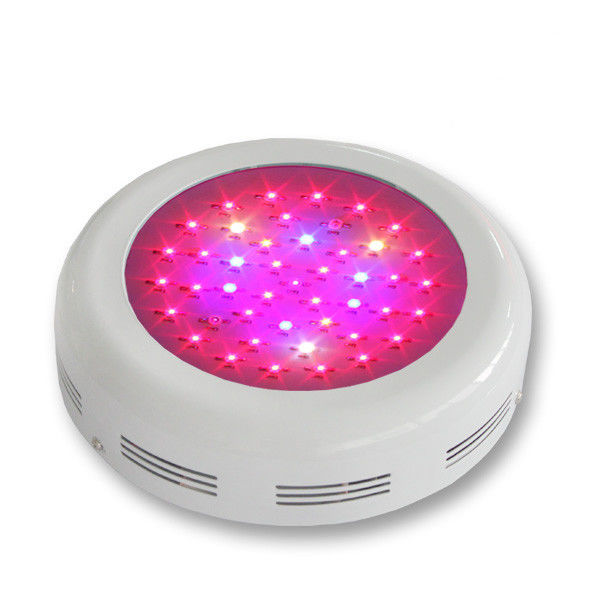 A planta de poupança de energia do diodo emissor de luz do círculo cresce a cor 3w clara que muda para a planta Gorwing e florescência