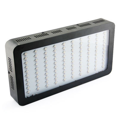 O diodo emissor de luz completo alto do espectro 300watt da planta interna do jardim do lúmen cresce luzes com diodo emissor de luz de Epistar